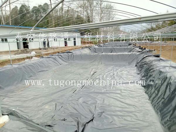 贵阳鱼塘养殖项目采用佳路通土工膜防渗膜 贵阳鱼塘养殖项目采用佳路通土工膜防渗膜