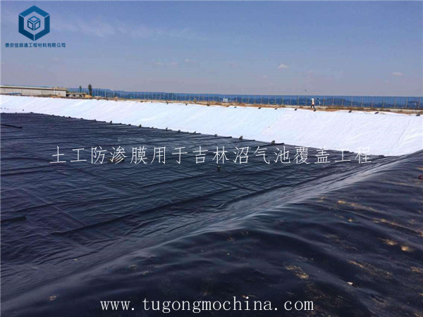 土工防渗膜用于吉林沼气池覆盖工程 土工防渗膜用于吉林沼气池覆盖工程