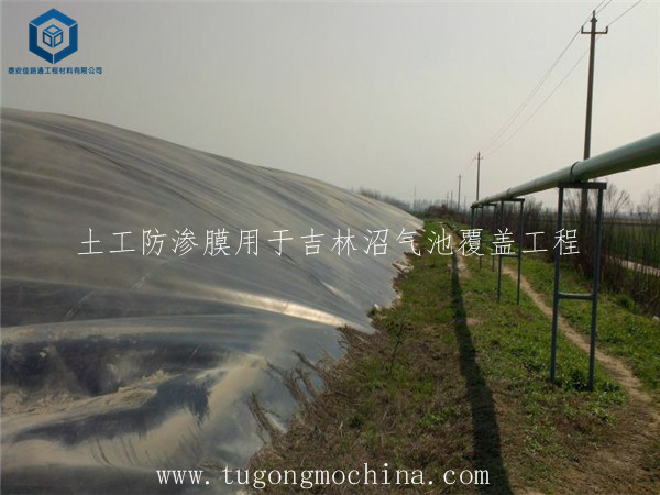 土工防渗膜用于吉林沼气池覆盖工程 土工防渗膜用于吉林沼气池覆盖工程