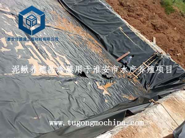 泥鳅养殖防渗膜用于淮安市水产养殖项目 泥鳅养殖防渗膜用于淮安市水产养殖项目