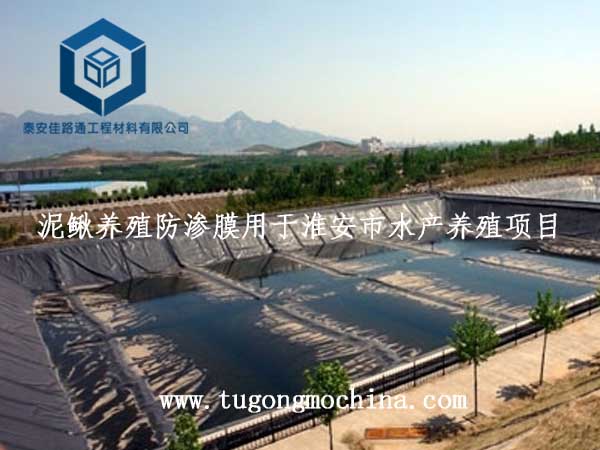 泥鳅养殖防渗膜用于淮安市水产养殖项目 泥鳅养殖防渗膜用于淮安市水产养殖项目