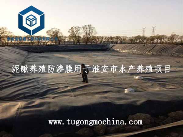 泥鳅养殖防渗膜用于淮安市水产养殖项目