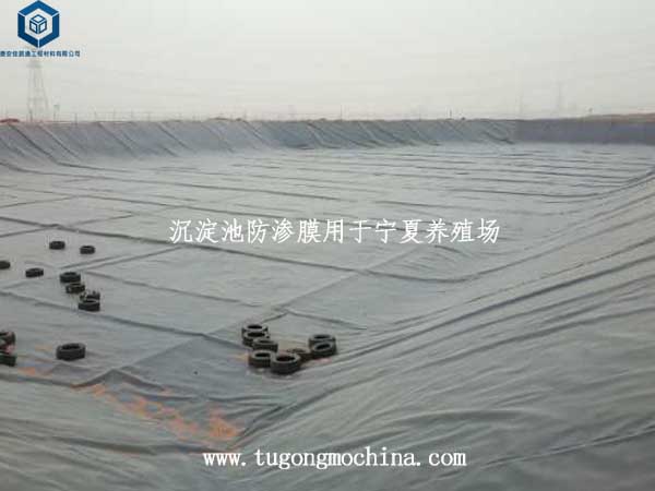 沉淀池防渗膜用于宁夏养殖场 沉淀池防渗膜用于宁夏养殖场
