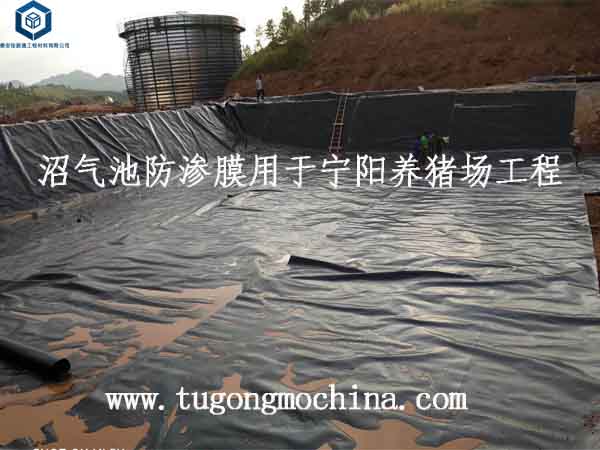 沼气池防渗膜用于宁阳养猪场工程