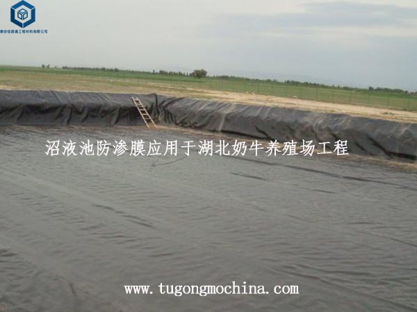 沼液池防渗膜应用于湖北奶牛养殖场工程 沼液池防渗膜应用于湖北奶牛养殖场工程