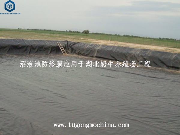 沼液池防渗膜应用于湖北奶牛养殖场工程