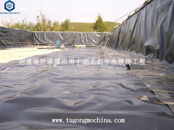 沼液池防渗膜应用于湖北奶牛养殖场工程 沼液池防渗膜应用于湖北奶牛养殖场工程