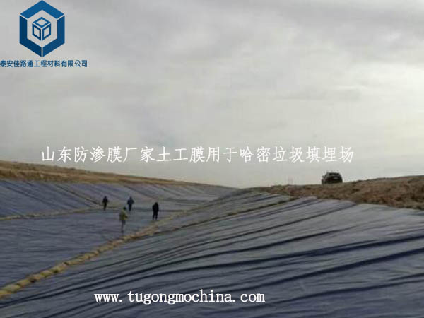 山东防渗膜厂家土工膜用于哈密垃圾填埋场 山东防渗膜厂家土工膜用于哈密垃圾填埋场