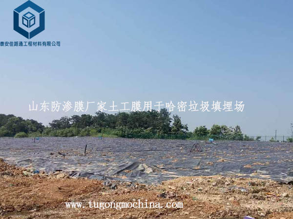 山东防渗膜厂家土工膜用于哈密垃圾填埋场 山东防渗膜厂家土工膜用于哈密垃圾填埋场