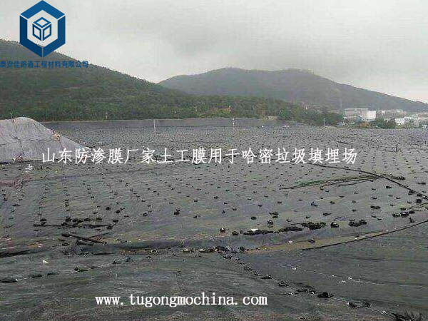 山东防渗膜厂家土工膜用于哈密垃圾填埋场 山东防渗膜厂家土工膜用于哈密垃圾填埋场