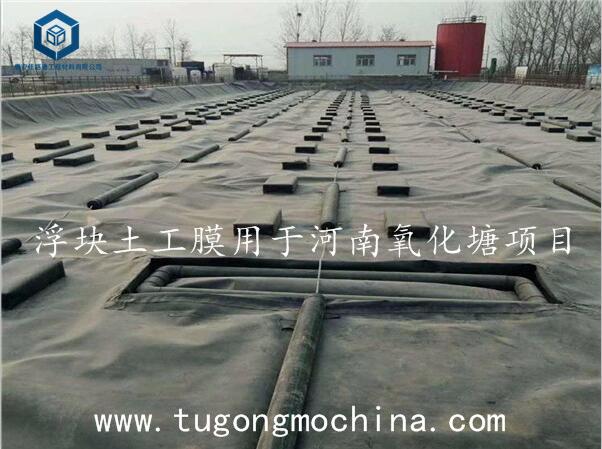 浮块土工膜用于西藏氧化塘项目 浮块土工膜用于河南氧化塘项目