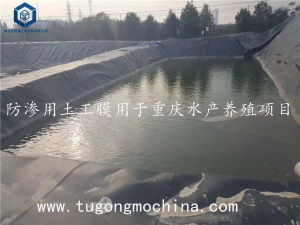 防渗用土工膜用于重庆水产养殖项目 防渗用土工膜用于重庆水产养殖项目