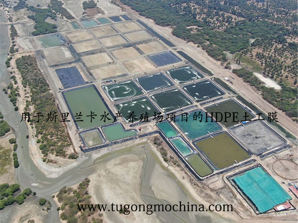 用于斯里兰卡水产养殖场项目的HDPE土工膜 用于斯里兰卡水产养殖场项目的HDPE土工膜