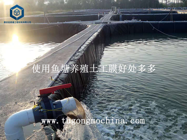 使用鱼塘养殖土工膜好处多多 使用鱼塘土工膜好处多多