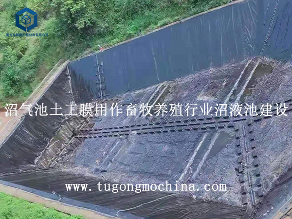 沼气池土工膜用作畜牧养殖行业沼液池建设 沼气池土工膜用作畜牧养殖行业沼液池建设