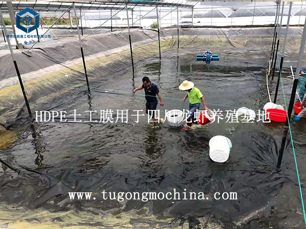 HDPE土工膜用于四川龙虾养殖基地