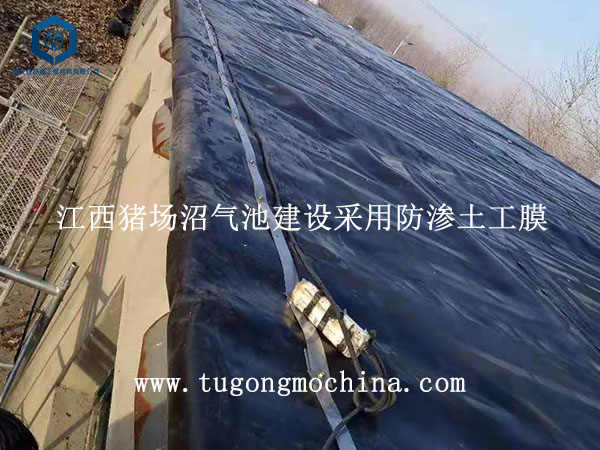 江西猪场沼气池建设采用防渗膜