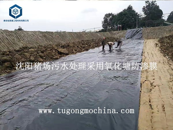 沈阳猪场污水处理采用氧化塘防渗膜 沈阳猪场污水处理采用氧化塘防渗膜