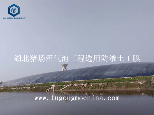 湖北猪场沼气池工程选用防渗土工膜 湖北猪场沼气池工程选用防渗膜