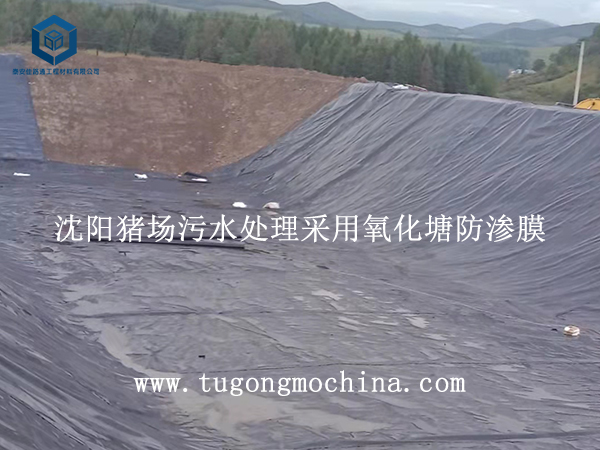 沈阳猪场污水处理采用氧化塘防渗膜 沈阳猪场污水处理采用氧化塘防渗土工膜