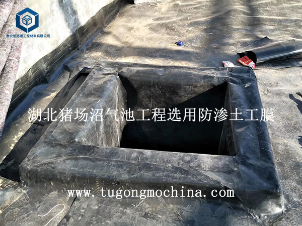 湖北猪场沼气池工程选用防渗土工膜 湖北猪场沼气池工程选用土工膜