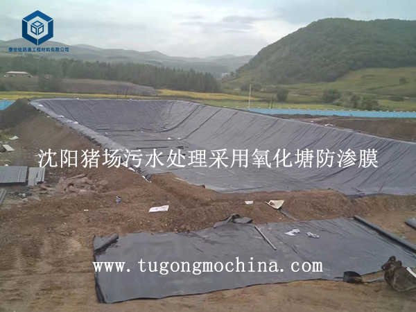 沈阳猪场污水处理采用氧化塘防渗膜 沈阳猪场污水处理采用防渗膜