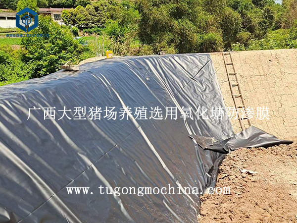 广西大型猪场养殖选用氧化塘防渗膜 广西大型猪场养殖选用氧化塘防渗膜