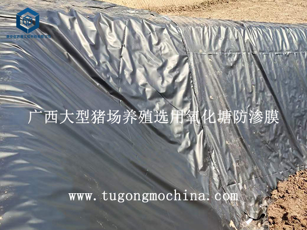 广西大型猪场养殖选用氧化塘防渗膜 广西大型猪场养殖选用氧化塘防渗土工膜