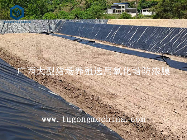 广西大型猪场养殖选用氧化塘防渗膜 广西大型猪场养殖选用防渗膜
