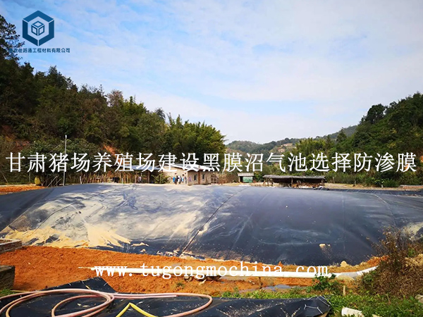 甘肃猪场养殖场建设黑膜沼气池选择防渗膜 甘肃猪场养殖场建设黑膜沼气池选择防渗膜