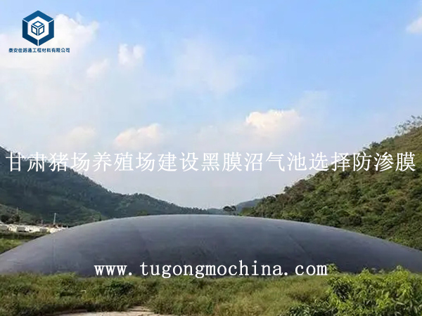 甘肃猪场养殖场建设黑膜沼气池选择防渗膜 甘肃猪场养殖场黑膜沼气池选择防渗膜