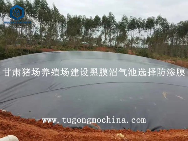 甘肃猪场养殖场建设黑膜沼气池