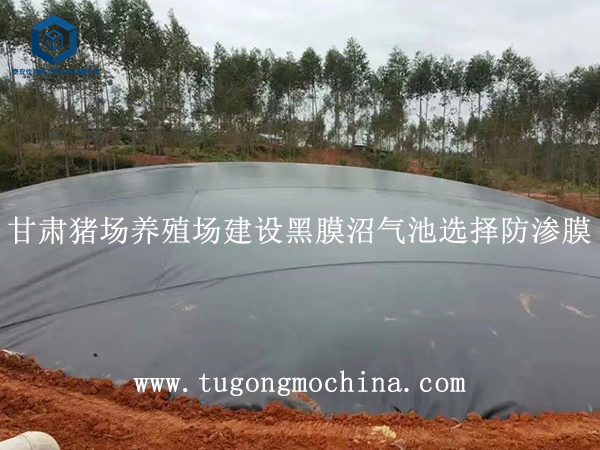 甘肃猪场养殖场建设黑膜沼气池选择防渗膜 甘肃猪场养殖场建设黑膜沼气池