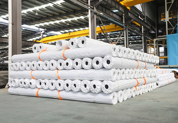 泰安佳路通10米宽新型土工膜设备在新厂正式投产运行