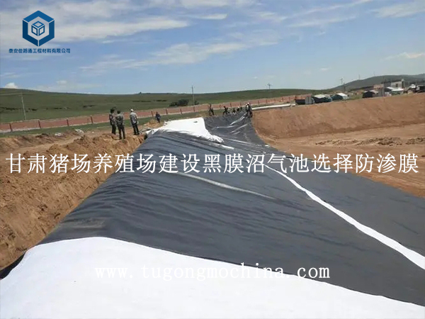 河北蓄水池项目选择hdpe复合土工膜 河北蓄水池项目选择hdpe复合土工膜