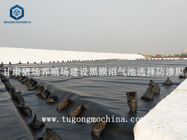 河北蓄水池项目选择hdpe复合土工膜 河北蓄水池项目选择复合土工膜