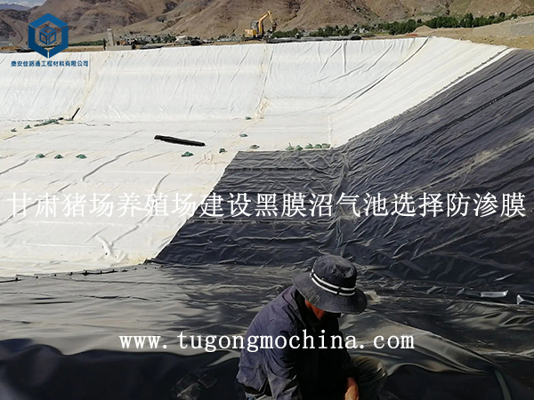 河北蓄水池项目选择hdpe复合土工膜 河北蓄水池项目选择hdpe土工膜