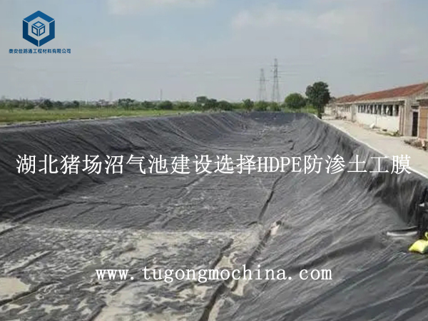 湖北猪场沼气池建设选择HDPE防渗土工膜 湖北猪场沼气池建设选择HDPE防渗土工膜