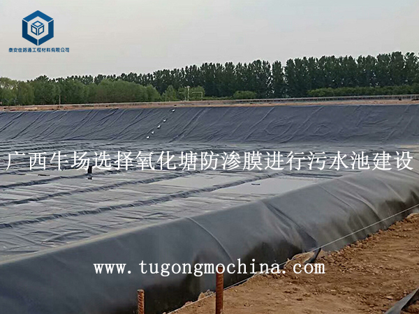 广西牛场选择氧化塘防渗膜进行污水池建设 广西牛场选择氧化塘防渗膜进行污水池建设