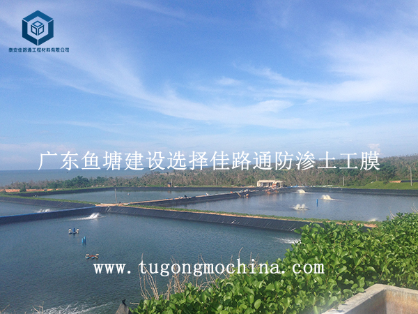 广东鱼塘建设选择佳路通防渗土工膜 广东鱼塘建设选择佳路通土工膜