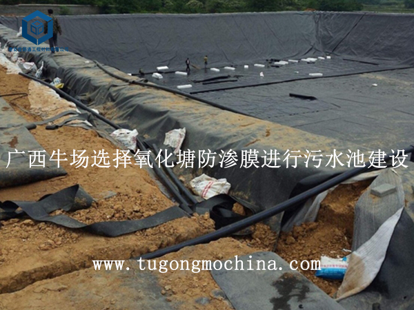 广西牛场选择氧化塘防渗膜进行污水池建设 广西牛场选择氧化塘膜进行污水池建设