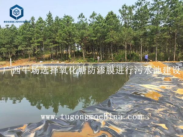 广西牛场选择氧化塘防渗膜进行污水池建设 广西牛场选择防渗膜进行污水池建设