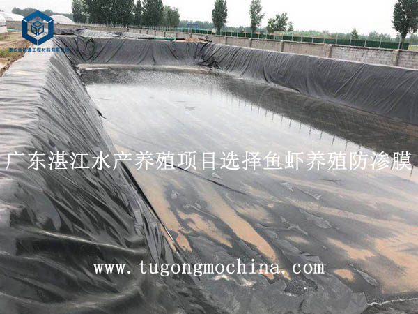 广东湛江水产养殖项目选择鱼虾养殖防渗膜 广东湛江水产养殖项目选择鱼虾养殖防渗膜