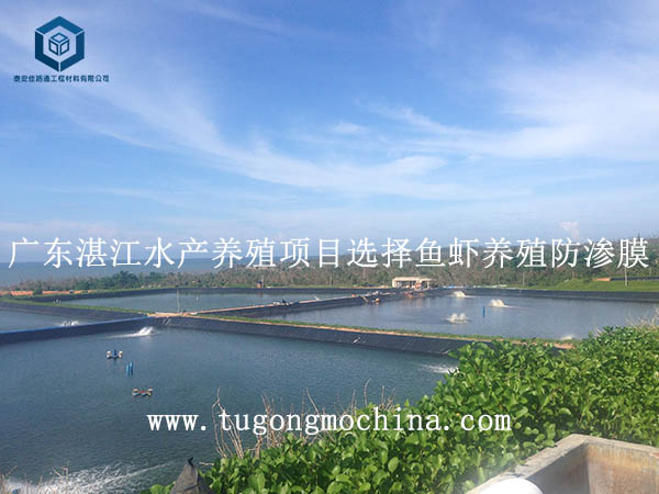 广东湛江水产养殖项目选择养殖防渗膜
