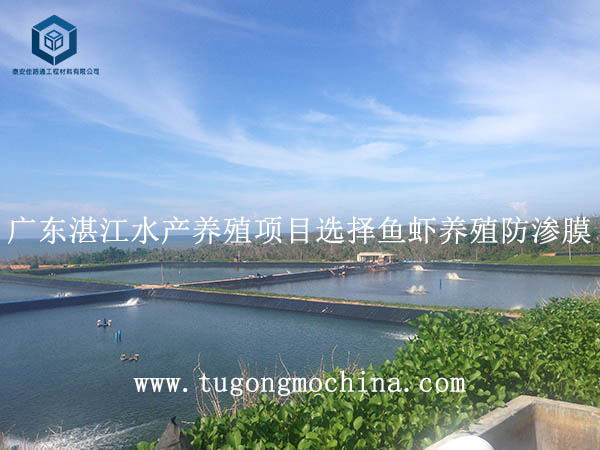 广东湛江水产养殖项目选择鱼虾养殖防渗膜 广东湛江水产养殖项目选择养殖防渗膜