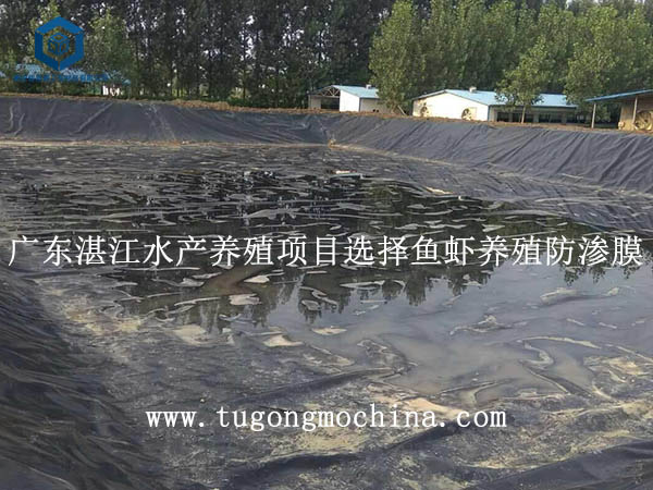 广东湛江水产养殖项目选择鱼虾养殖防渗膜 广东湛江水产养殖项目选择鱼虾养殖膜