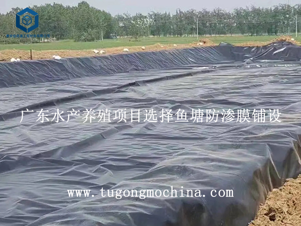 广东水产养殖项目选择鱼塘防渗膜铺设