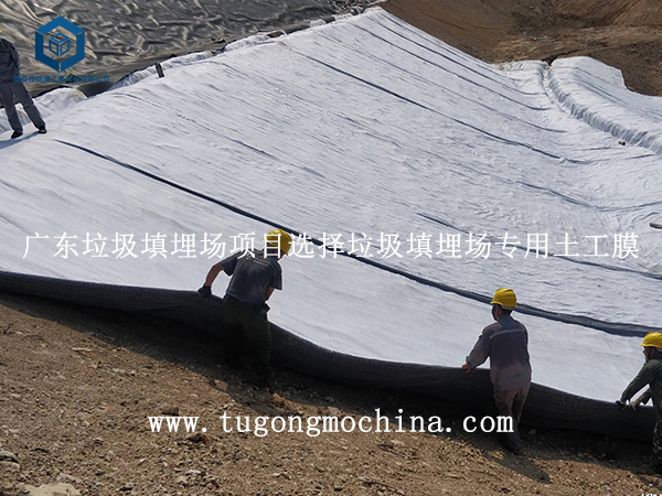 广东垃圾填埋场项目选择垃圾填埋场专用土工膜 广东垃圾填埋场项目选择土工膜