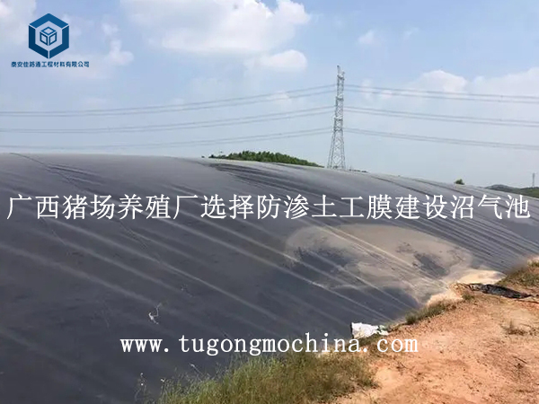 广西猪场养殖厂选择防渗土工膜建设沼气池 广西猪场养殖厂选择防渗膜建设沼气池