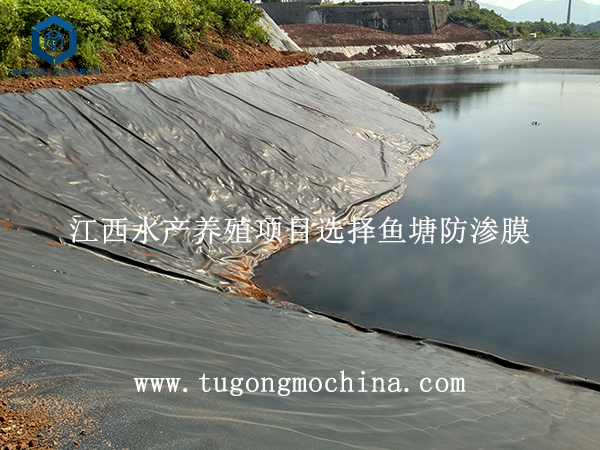 江西水产养殖项目选择鱼塘防渗膜 江西水产养殖项目选择鱼塘膜